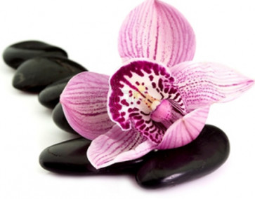 Perfume / Fragrance oil Black Orchid 1000ml