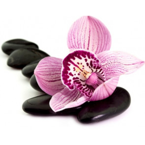 Perfume / Fragrance oil Black Orchid